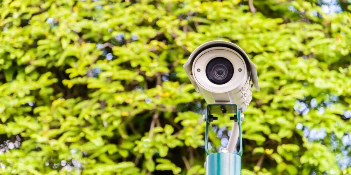 Guarding the Block: Pro Tips for Keeping Your Neighborhood Safe