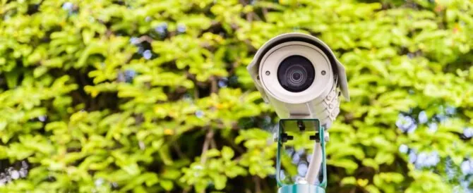 Guarding the Block: Pro Tips for Keeping Your Neighborhood Safe